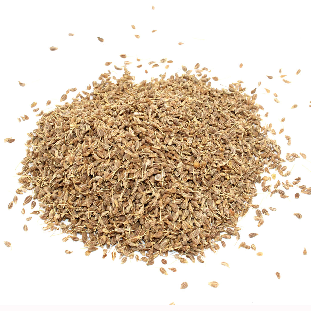 Anis (Körner) – 1 kg