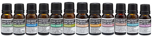 Aromatherapie-Box Top 12 mit 12 ätherischen Ölen