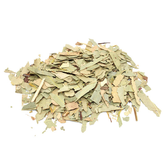 Eukalyptus (geschnittene Blätter) – 1 kg