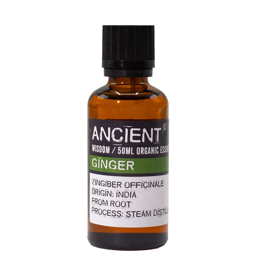 Ätherisches Bio-Ingweröl – 50 ml