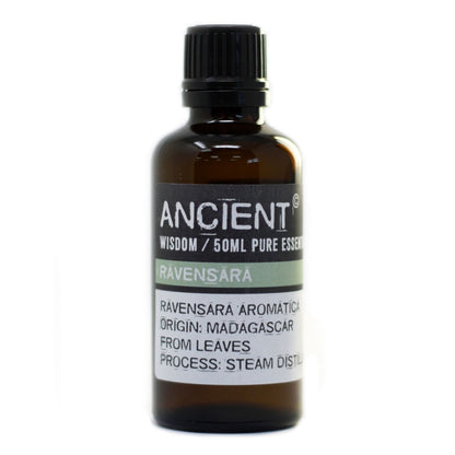 Ätherisches Ravensaraöl – 50 ml