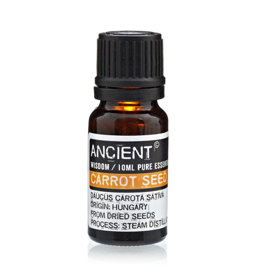Ätherisches Karottensamenöl – 10 ml