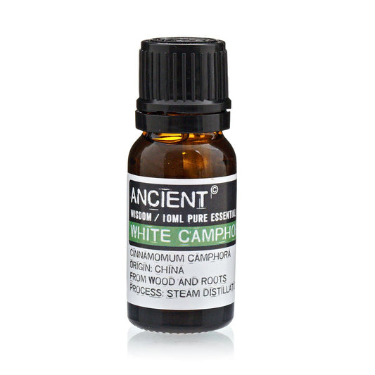 Ätherisches Weißes Kampferöl – 10 ml