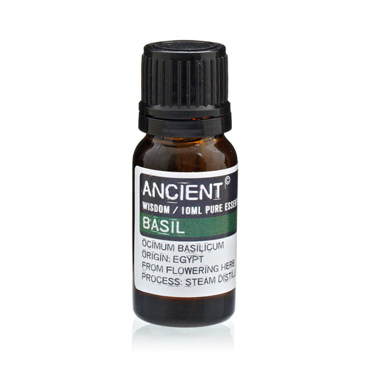 Ätherisches Basilikumöl – 10 ml