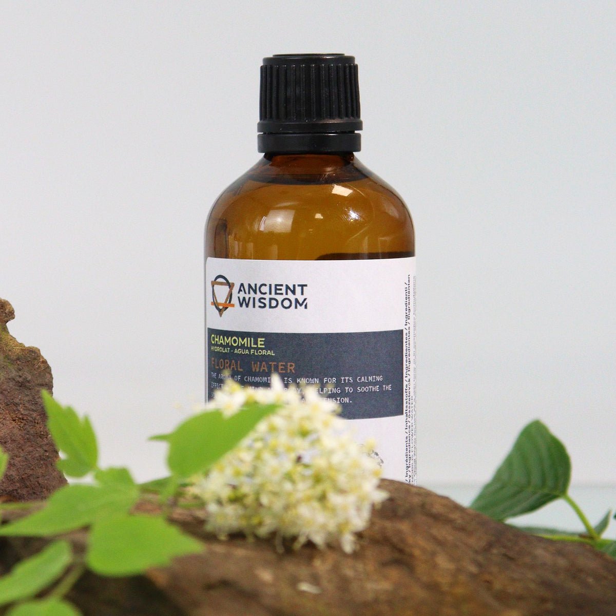Kamillenhydrolat – 100 ml