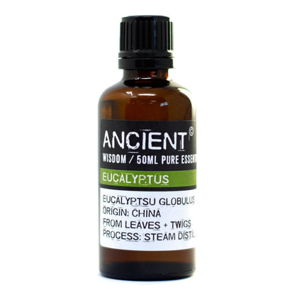 Ätherisches Eukalyptusöl – 50 ml