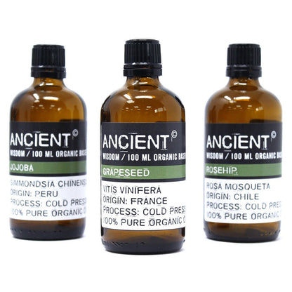 Bio-Avocado-Basisöl – 100 ml