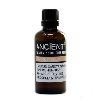 Ätherisches Karottensamenöl – 50 ml
