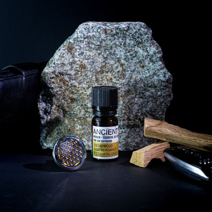 Aromatherapie-Ölmischung fürs Auto – Family Trip – 10 ml