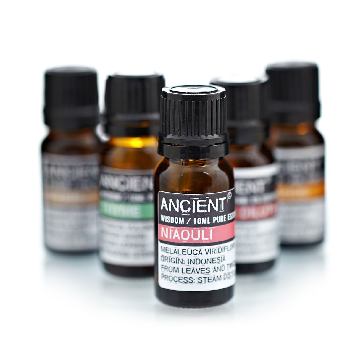 Ätherisches Niaouliöl – 10 ml