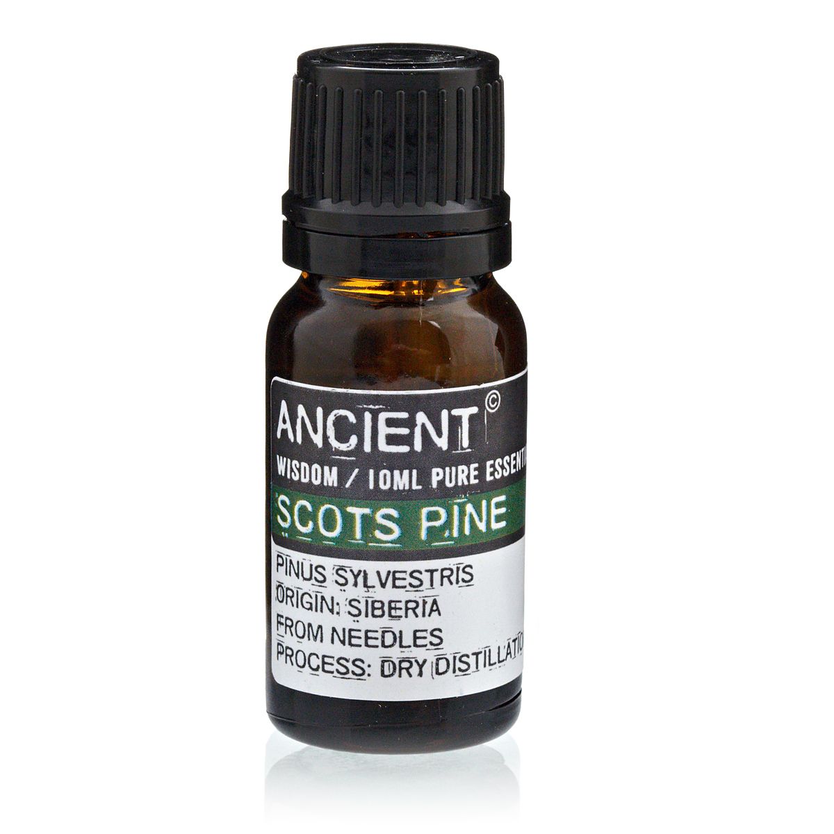 Ätherisches Waldkiefernöl (Pinus sylvestris) – 10 ml