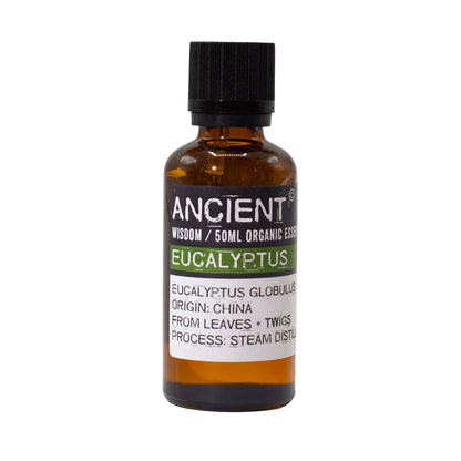 Ätherisches Bio-Eukalyptusöl – 50 ml