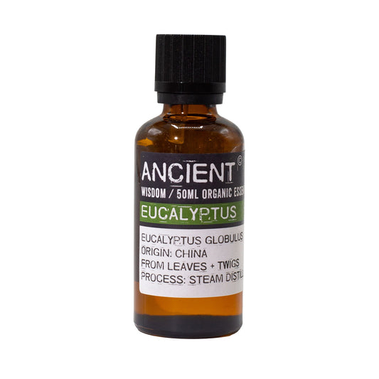 Ätherisches Bio-Eukalyptusöl – 50 ml