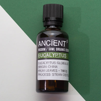 Ätherisches Bio-Eukalyptusöl – 50 ml