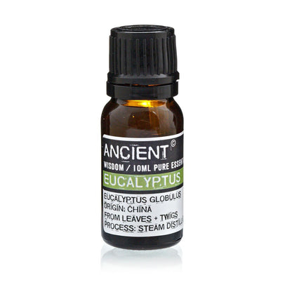 Ätherisches Eukalyptusöl – 10 ml