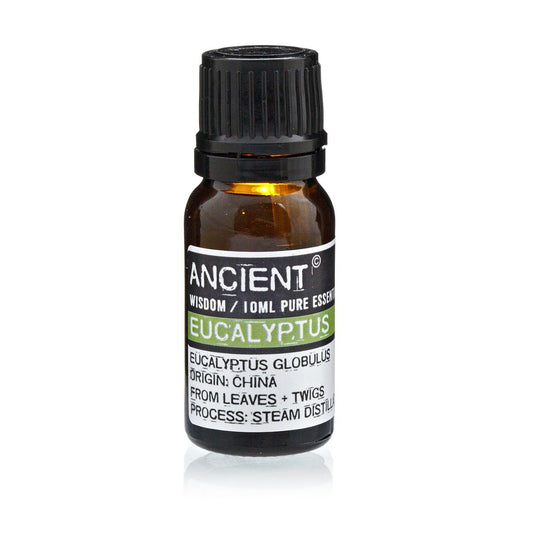 Ätherisches Eukalyptusöl – 10 ml