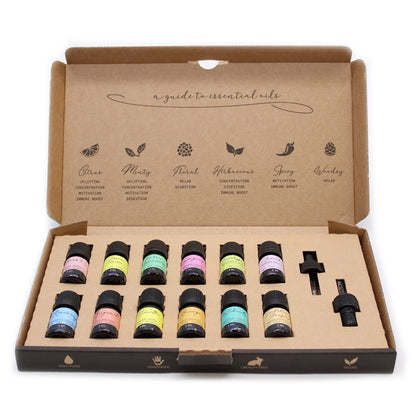 Aromatherapie-Set mit ätherischen Ölen – The Top 12