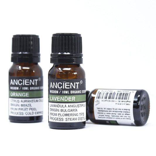 Ätherisches Bio-Rosmarinöl – 10 ml