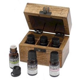Aromatherapie-Box Top 6 mit ätherischen Ölen