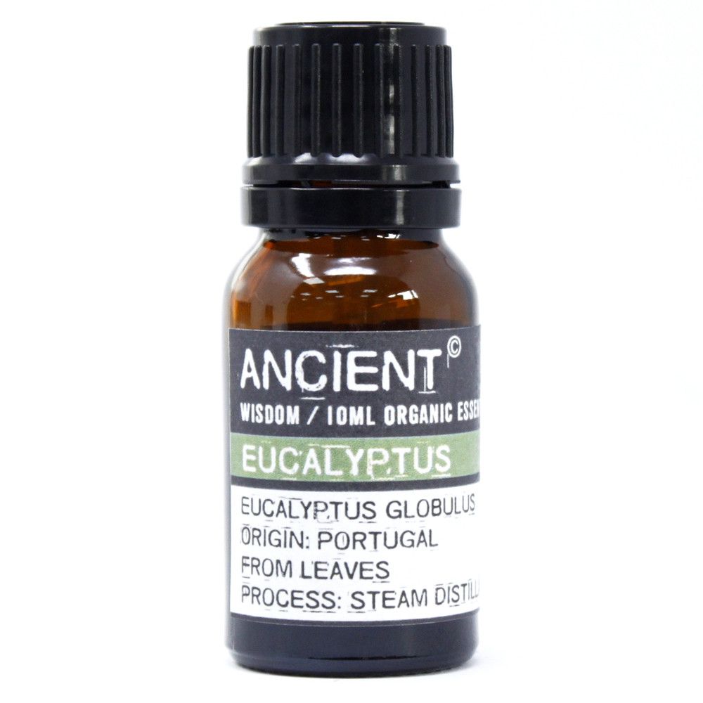 Ätherisches Bio-Eukalyptusöl – 10 ml