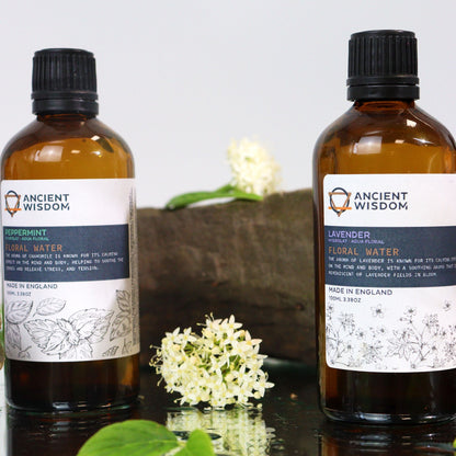 Pfefferminzhydrolat – 100 ml