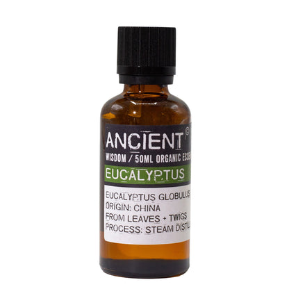 Ätherisches Bio-Eukalyptusöl – 50 ml