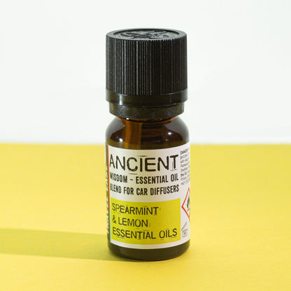 Aromatherapie-Ölmischung fürs Auto – Travel Ease – 10 ml