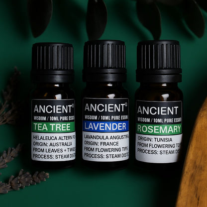 Set mit ätherischem Lavendel-, Teebaum- und Rosmarinöl – je 10 ml