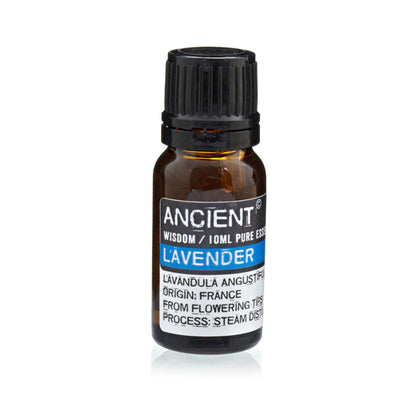 Set mit ätherischem Lavendel-, Teebaum- und Rosmarinöl – je 10 ml