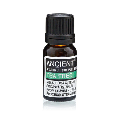 Set mit ätherischem Lavendel-, Teebaum- und Rosmarinöl – je 10 ml